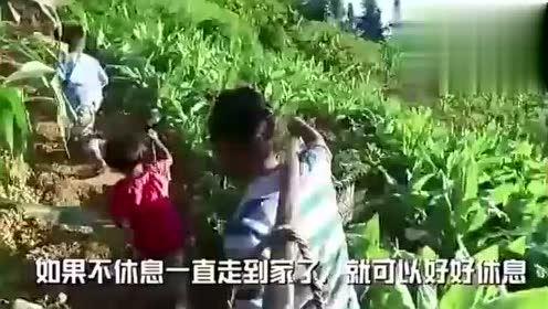 隔壁村吃瓜视频,一窥乡村生活百态