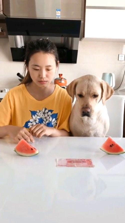 近期的劲爆吃瓜视频大全,全网热议！近期劲爆吃瓜视频大盘点