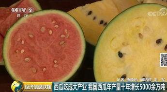 收走吃瓜群众的西瓜视频,吃瓜群众的热议焦点