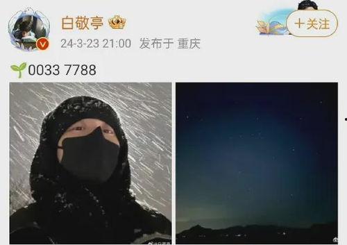 吃瓜博主炸裂视频下载,下载背后的秘密与技巧