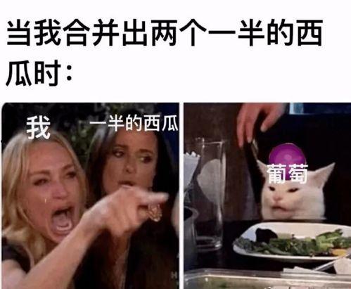 带你吃大瓜奇葩p图视频,创意无限，笑料横生