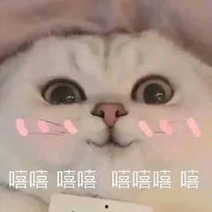 吃瓜甜美视频表情包,趣味横生的短视频表情盛宴