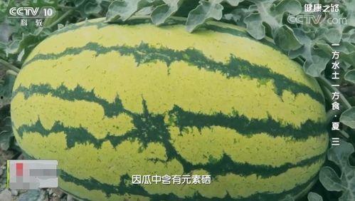 阳光健康吃瓜视频,揭秘夏日消暑美食秘籍