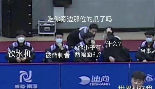 乒乓队集体吃瓜视频,欢乐瞬间，展现团队风采