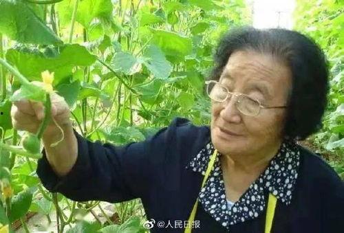 鹤壁校园欺凌吃瓜视频,网络吃瓜群众热议校园暴力现象
