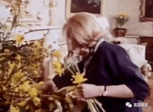 吃瓜女王故事视频