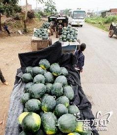 南宁市民吃瓜事件视频,一场引发热议的街头现象